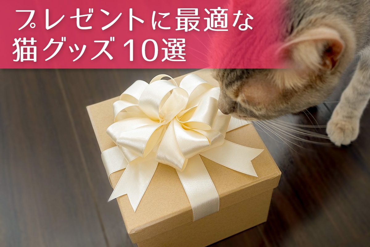 ネコも飼い主も喜ぶ！ プレゼントに最適な猫グッズ10選 | モアクリ