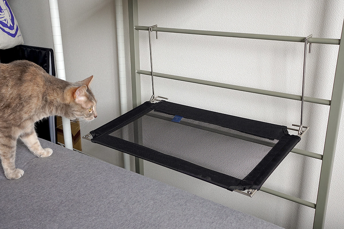 レビュー 窓に付ける猫用ハンモック モアクリ