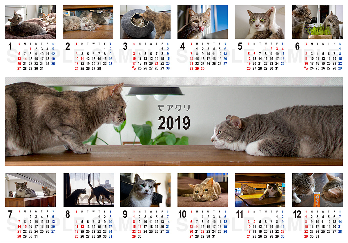 印刷 デスクトップ 壁紙 猫 カレンダー 21 ここで最高の画像コレクション